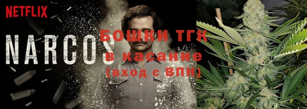 стафф Волосово