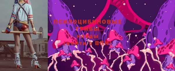 амф Володарск