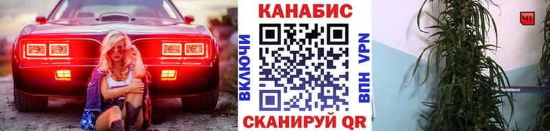 Бошки Шишки индика  закладки  Каргополь 